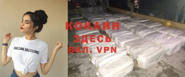 ПСИЛОЦИБИНОВЫЕ ГРИБЫ Вязники