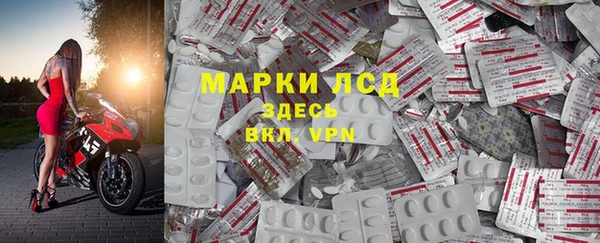 ПСИЛОЦИБИНОВЫЕ ГРИБЫ Вязники