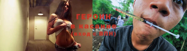 ПСИЛОЦИБИНОВЫЕ ГРИБЫ Вязники