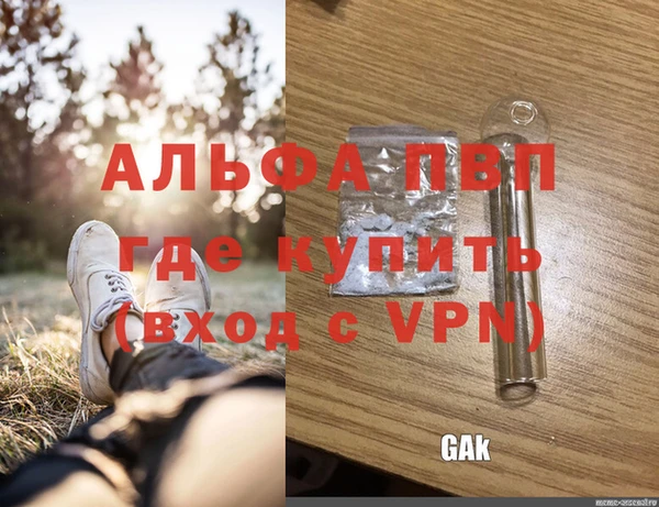 ПСИЛОЦИБИНОВЫЕ ГРИБЫ Вязники