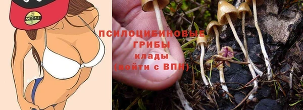 MDMA Вяземский