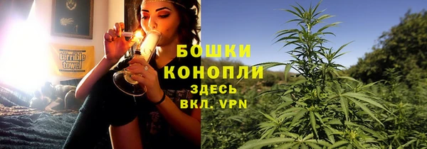 ПСИЛОЦИБИНОВЫЕ ГРИБЫ Вязники