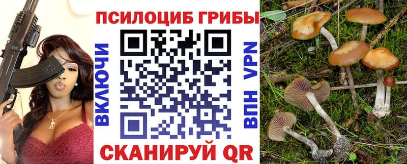 Псилоцибиновые грибы мухоморы Купить где Волоколамск
