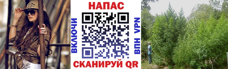 Конопля Ganja Волоколамск